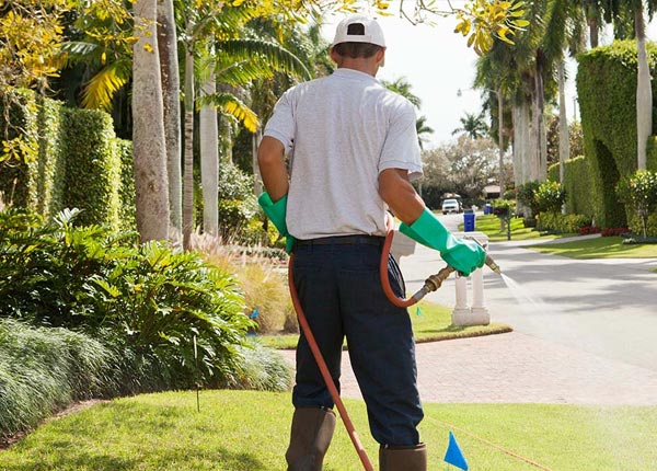 About Sterrett AL Pest Control Pros